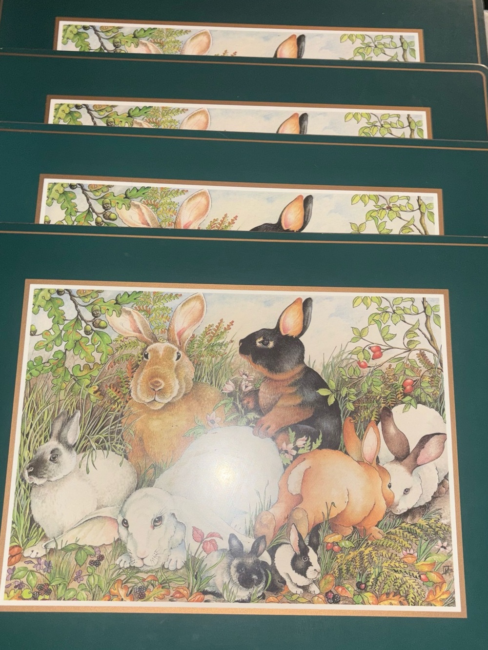 4 pimpernel Small Pets Decorative Rabbit Placemat - Green